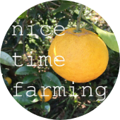 Nice time farming